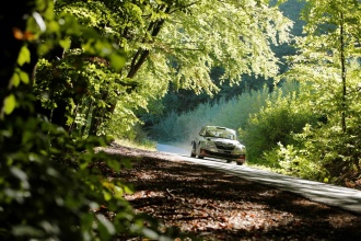 FIA CEZ 2013. Bajnokok